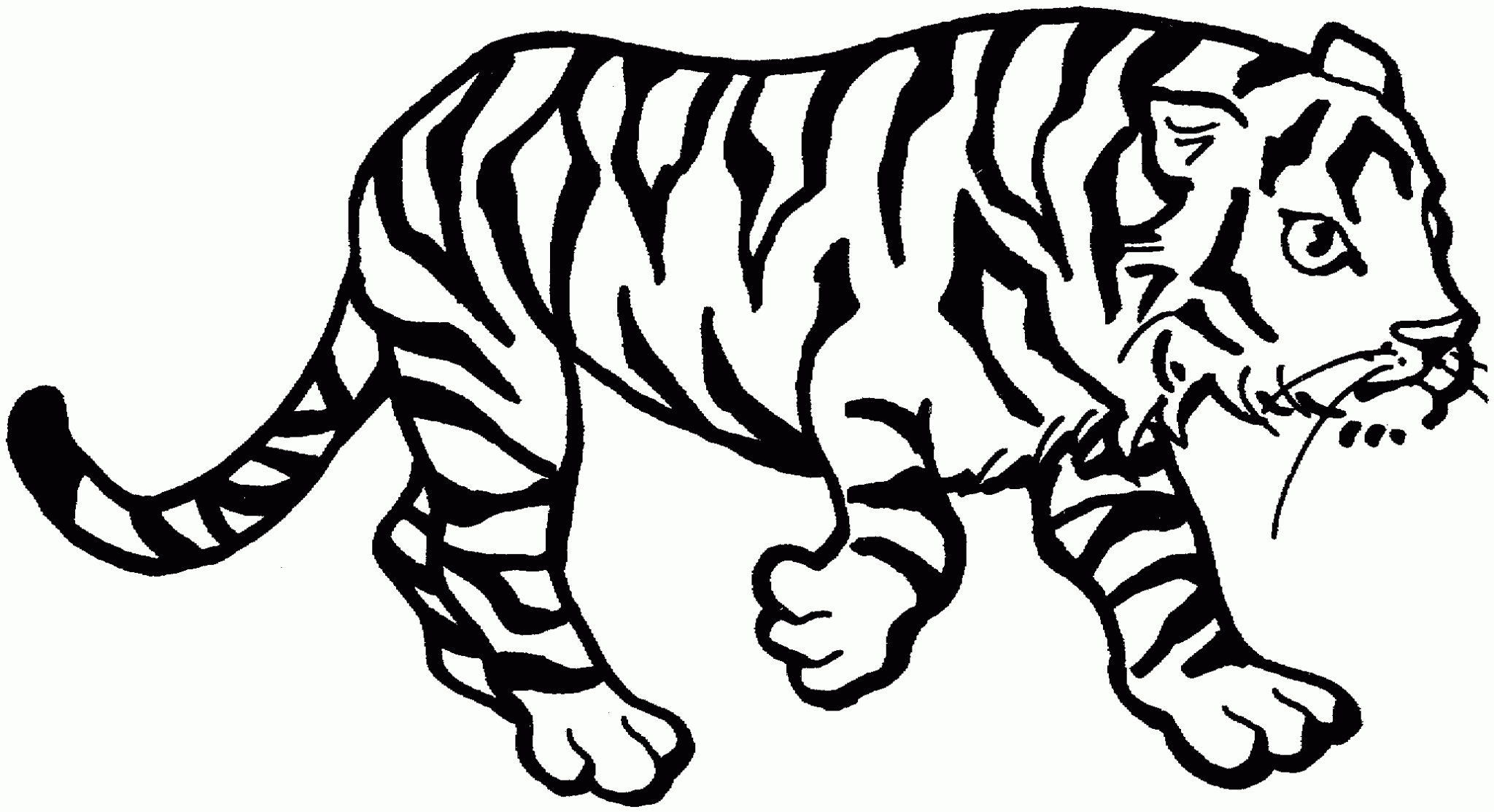 Tranh tô màu động vật  hình con hổ  Vật Dễ thương Hình ảnh
