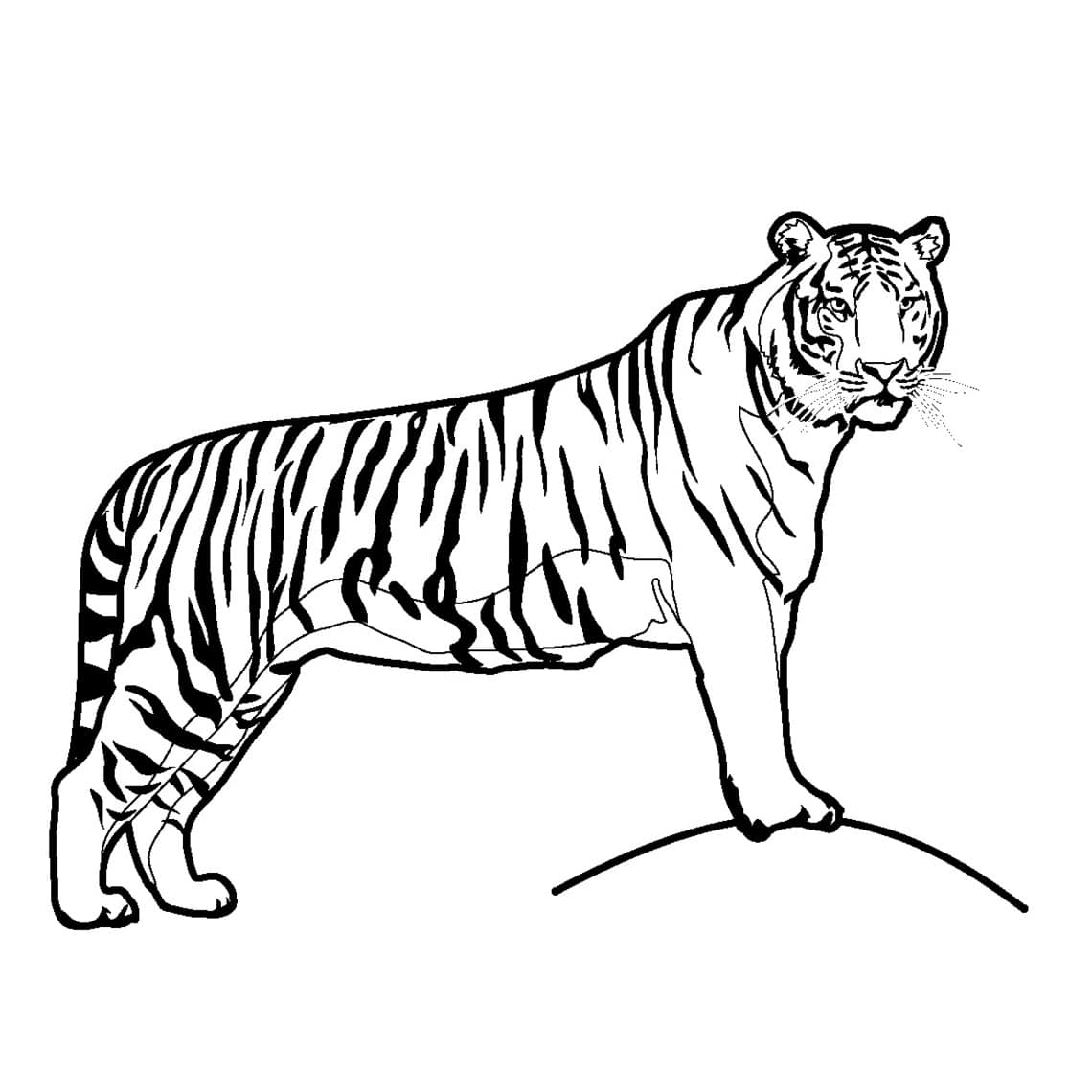 tranh-to-mau-con-ho-22