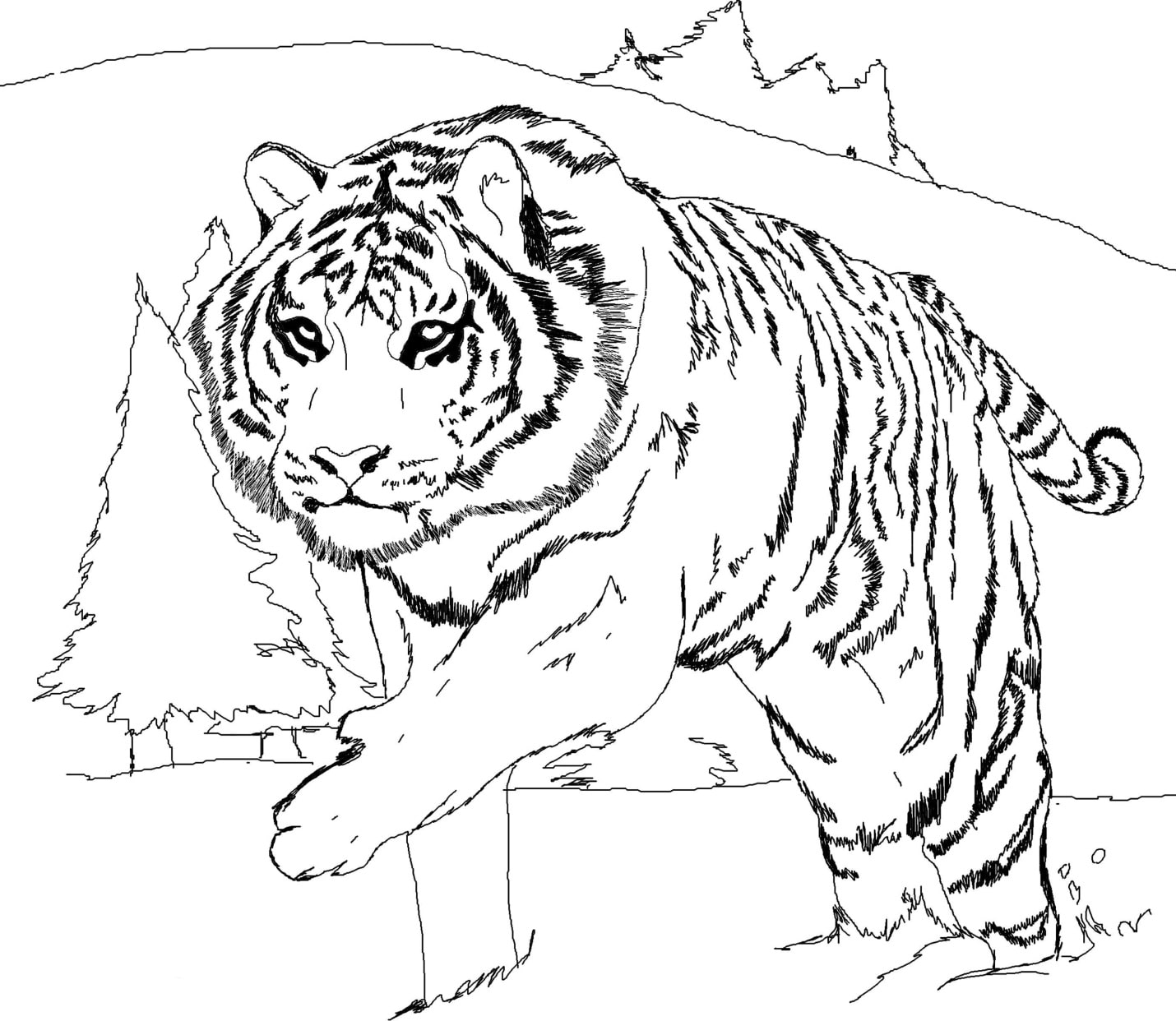 Tranh tô màu con hổ