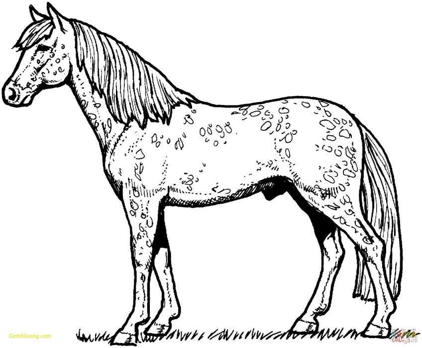 Bộ sưu tập tranh tô màu con ngựa dễ thương cho bé