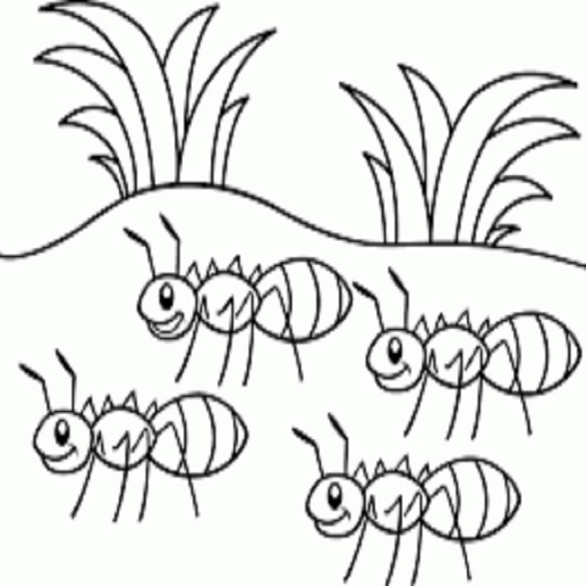 Tổng hợp với hơn 56 về tranh tô màu con kiến mới nhất  trieuson5