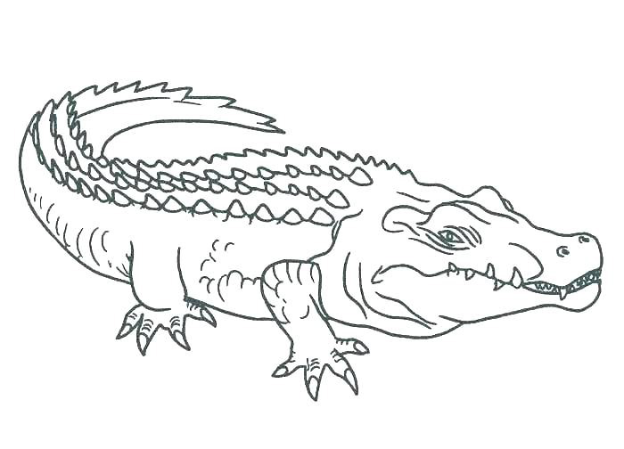 Tổng hợp tranh tô màu con cá sấu cho bé tập tô