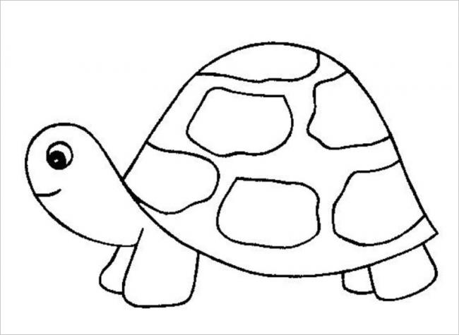Tổng hợp những bức tranh tô màu đẹp nhất về rùa con