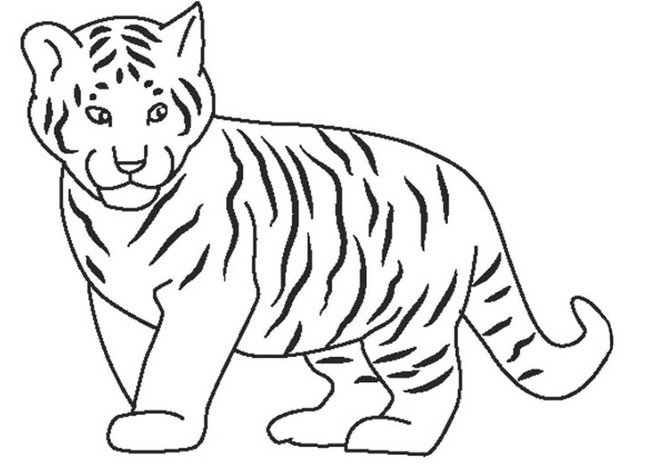 Tổng hợp những tranh tô màu con hổ hay nhất