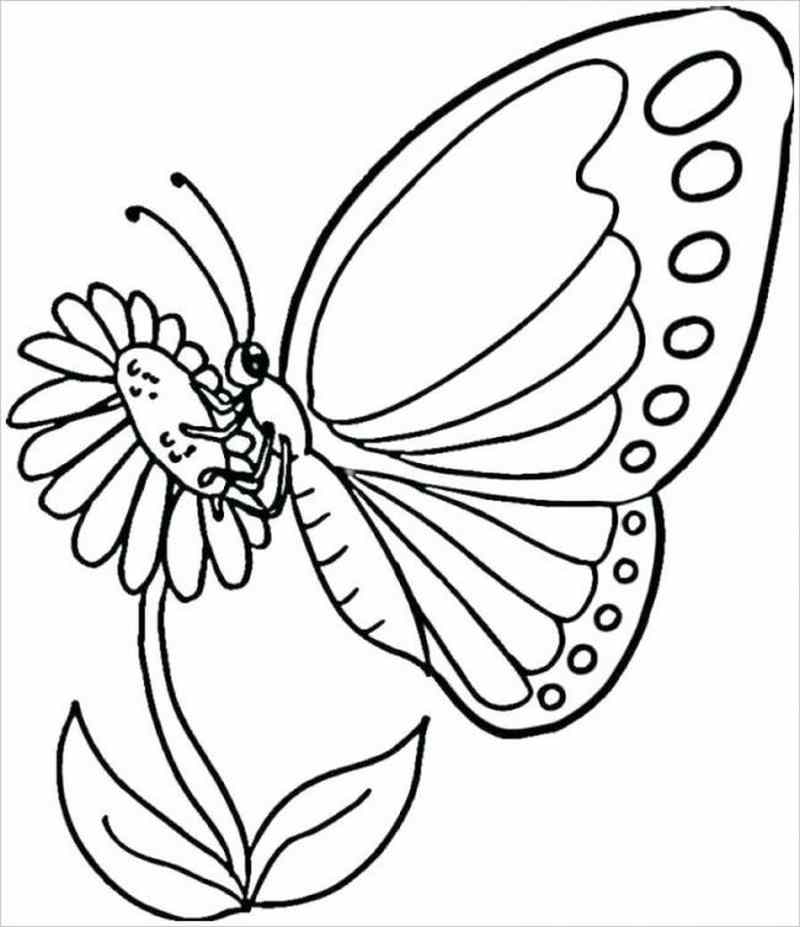 Cách vẽ con bướm đơn giản vẽ họa tiết cách điệu con bướm đẹp nhất