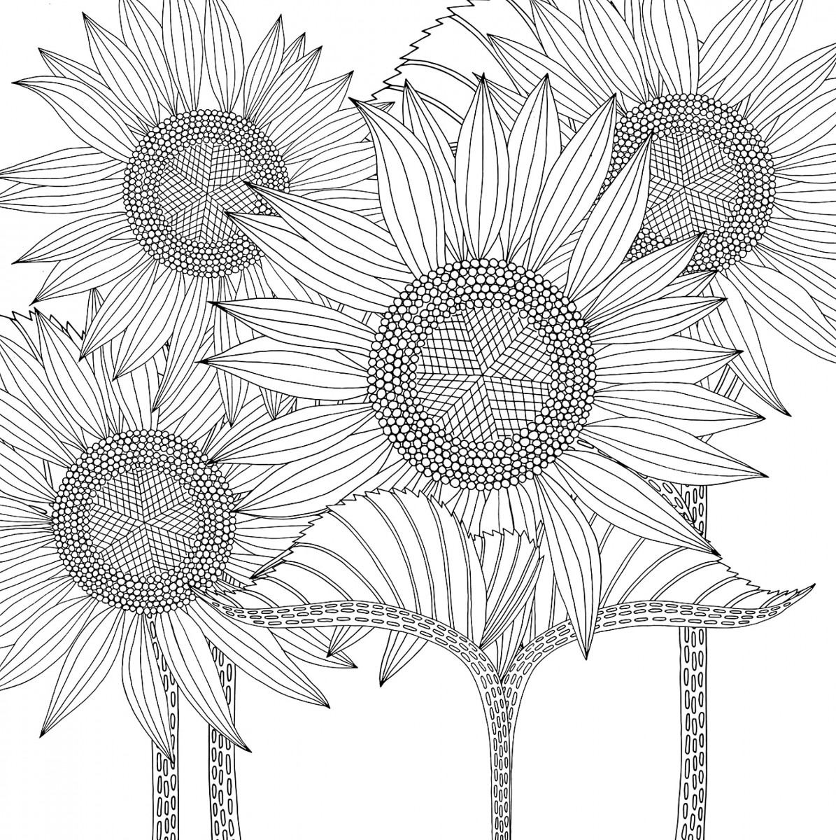 10+ mẫu tranh tô màu hoa hướng dương cho trẻ độ tuổi mầm non | Sunflower  coloring pages, Summer coloring pages, Flower coloring pages