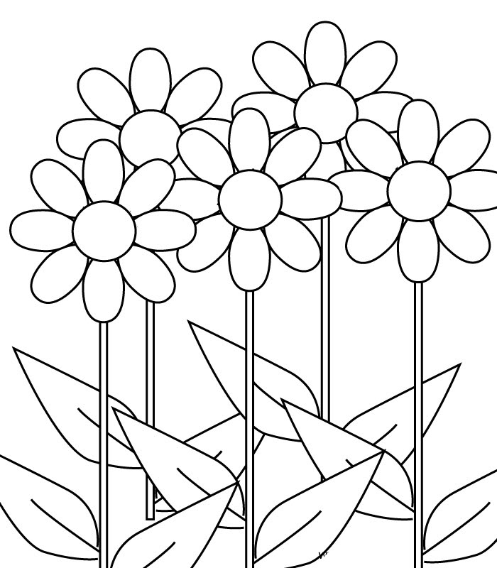 Cách vẽ và tô màu hoa hướng dương - how to draw and color the sunflower -  YouTube