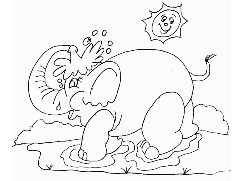 Tuyển tập nhữnɡ bức tranh tô màu con voi đẹp nhất