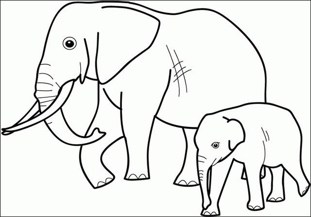 Tuyển tập nhữnɡ bức tranh tô màu con voi đẹp nhất