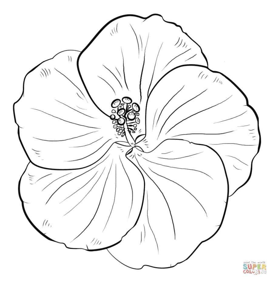 tranh tô màu cành hoa đối xứng | Flower coloring pages, Coloring pages,  Printable flower coloring pages