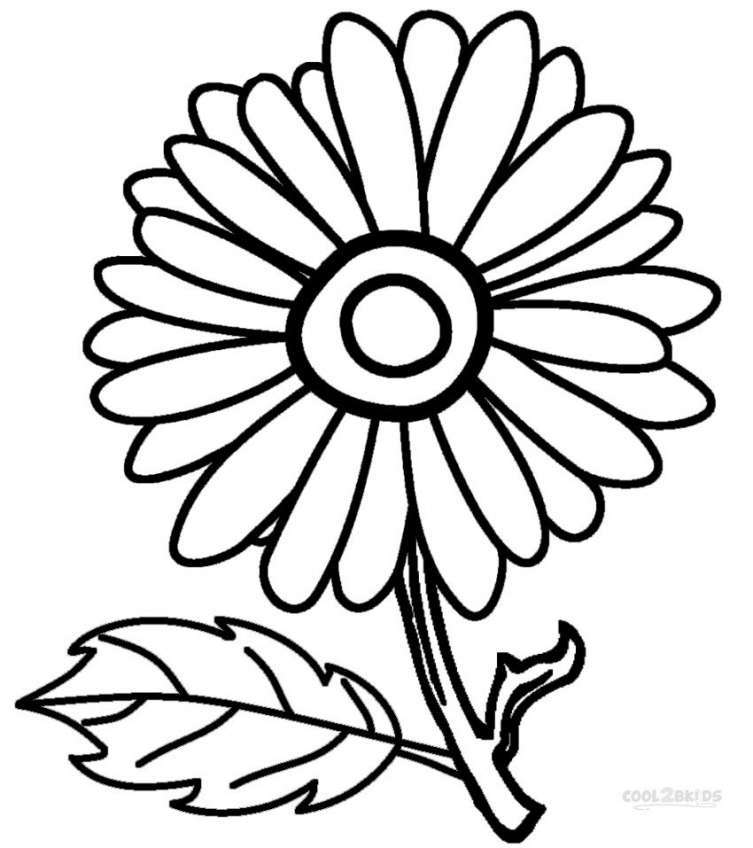 Tranh số hoá hoa cúc trắng tự tô màu theo số trang trí treo tường GAM có  căng khung BH0705 - Khung ảnh và Tranh treo tường | NghiệnNhà.vn