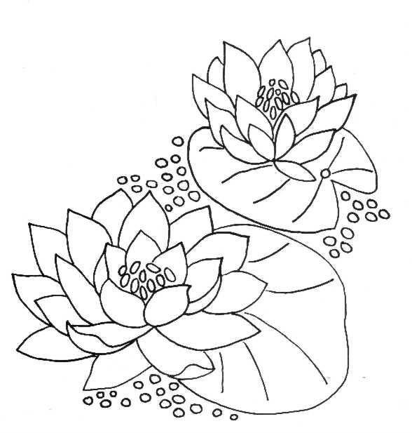 Hình-to-hoa-để-được-3